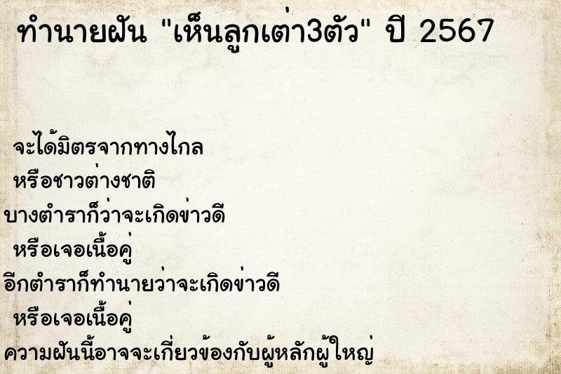ทำนายฝันเห็นลูกเต่า3ตัว ทำนายฝันทำนายฝันเห็นลูกเต่า3ตัว