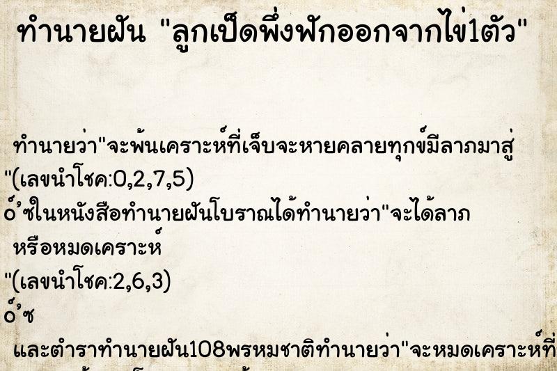 ทำนายฝันลูกเป็ดพึ่งฟักออกจากไข่1ตัว ทำนายฝันทำนายฝันลูกเป็ดพึ่งฟักออกจากไข่1ตัว