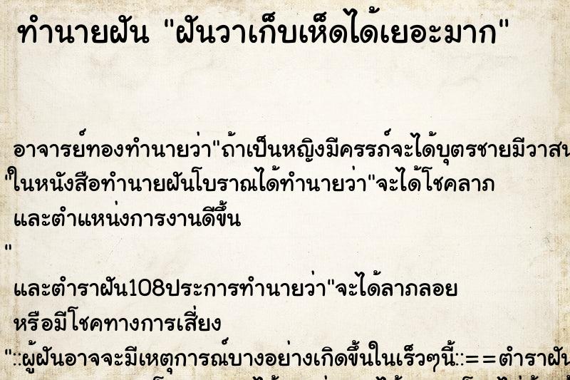 ทำนายฝัน ฝันวาเก็บเห็ดได้เยอะมาก
