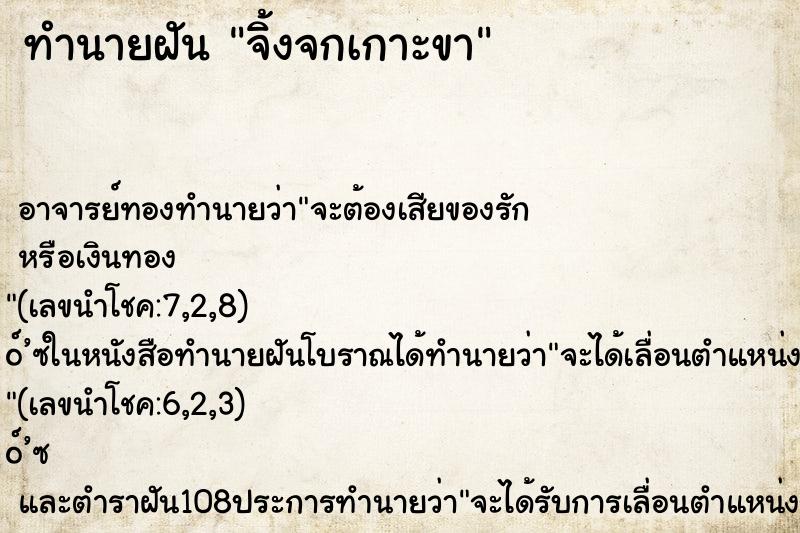 ทำนายฝัน จิ้งจกเกาะขา ทำนายฝัน จิ้งจกเกาะขา