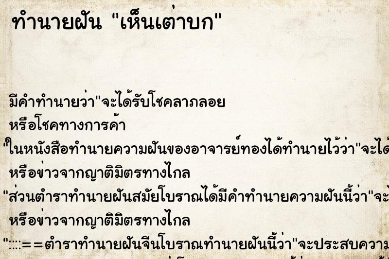 ทำนายฝันทำนายฝันเห็นเต่าบก