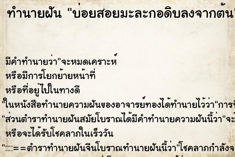 ทำนายฝัน บ่อยสอยมะละกอดิบลงจากต้น ทำนายฝัน บ่อยสอยมะละกอดิบลงจากต้น