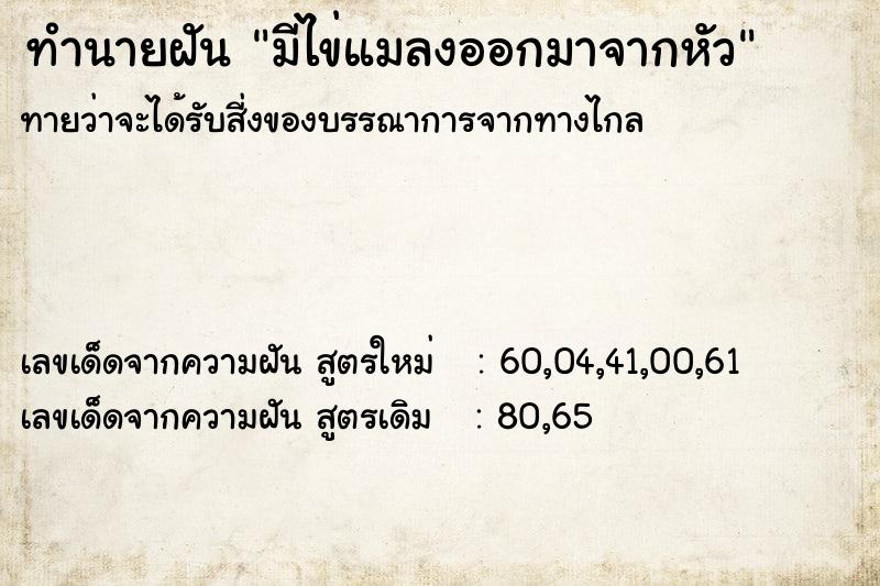 ทำนายฝันมีไข่แมลงออกมาจากหัว ทำนายฝันทำนายฝันมีไข่แมลงออกมาจากหัว