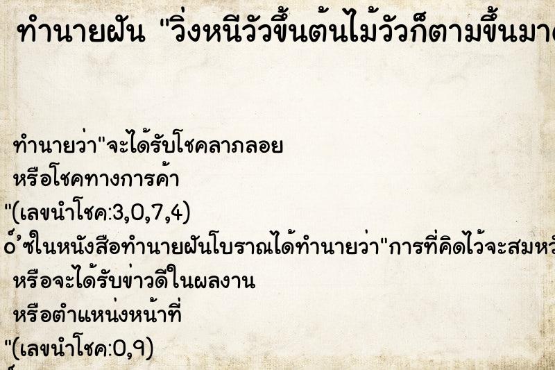 ทำนายฝัน วิ่งหนีวัวขึ้นต้นไม้วัวก็ตามขึ้นมาด้วย ทำนายฝัน วิ่งหนีวัวขึ้นต้นไม้วัวก็ตามขึ้นมาด้วย