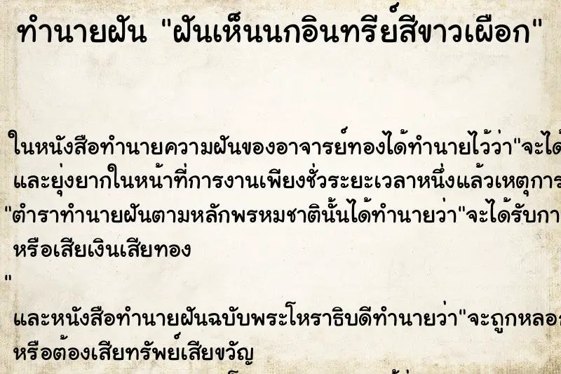 ทำนายฝัน ฝันเห็นนกอินทรีย์สีขาวเผือก ทำนายฝัน ฝันเห็นนกอินทรีย์สีขาวเผือก