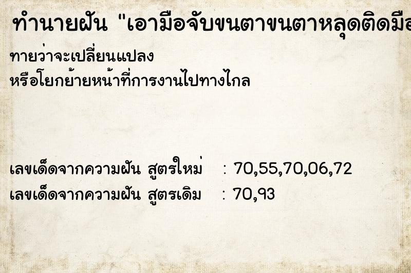 ทำนายฝัน เอามือจับขนตาขนตาหลุดติดมือมาเยอะมาก ทำนายฝัน เอามือจับขนตาขนตาหลุดติดมือมาเยอะมาก
