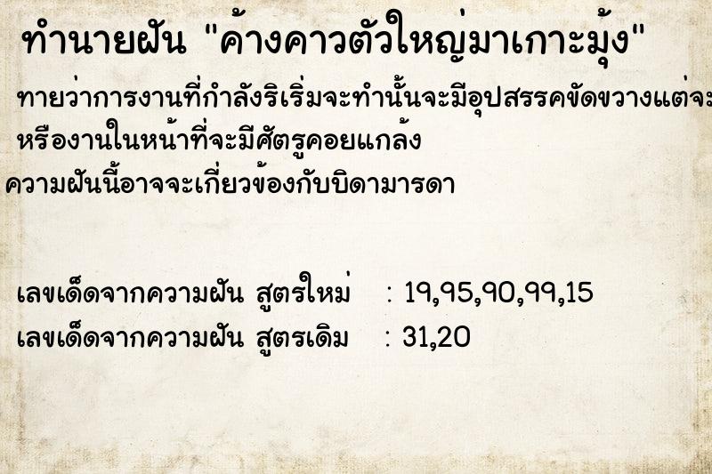ทำนายฝันค้างคาวตัวใหญ่มาเกาะมุ้ง ทำนายฝันทำนายฝันค้างคาวตัวใหญ่มาเกาะมุ้ง