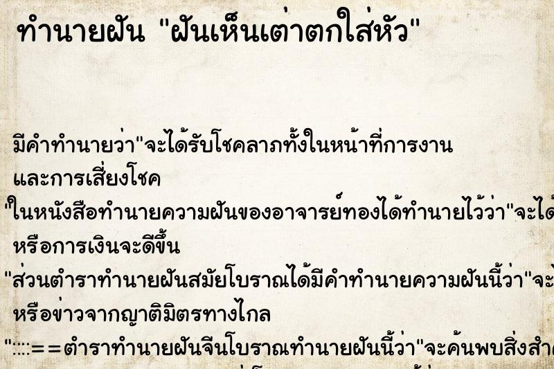 ทำนายฝันทำนายฝันฝันเห็นเต่าตกใส่หัว