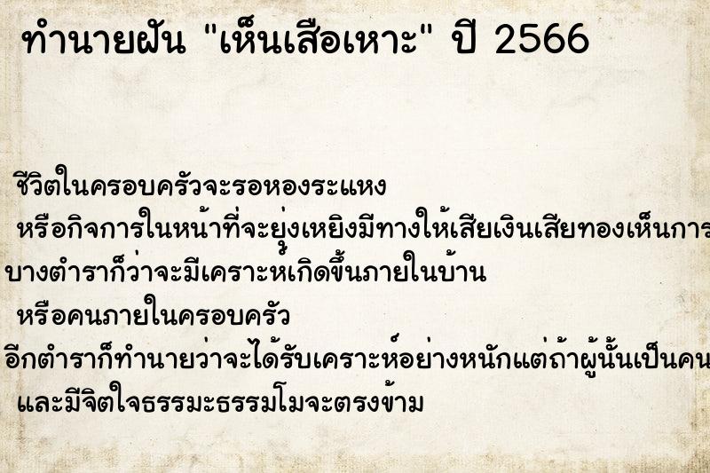 ทำนายฝันเห็นเสือเหาะ ทำนายฝันทำนายฝันเห็นเสือเหาะ