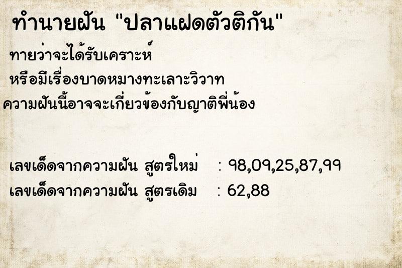 ทำนายฝันปลาแฝดตัวติกัน ทำนายฝันทำนายฝันปลาแฝดตัวติกัน