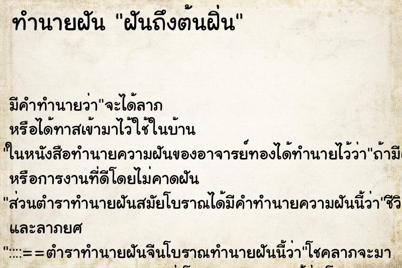 ทำนายฝันฝันถึงต้นฝิ่น ทำนายฝันทำนายฝันฝันถึงต้นฝิ่น