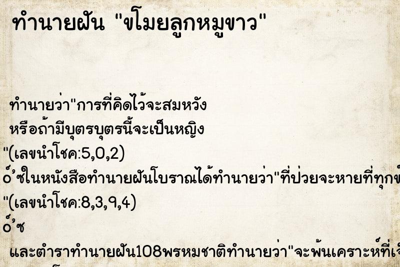 ทำนายฝันขโมยลูกหมูขาว ทำนายฝันทำนายฝันขโมยลูกหมูขาว