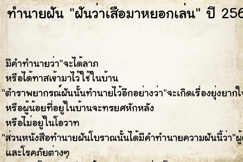ทำนายฝัน ฝันว่าเสือมาหยอกเล่น ทำนายฝัน ฝันว่าเสือมาหยอกเล่น