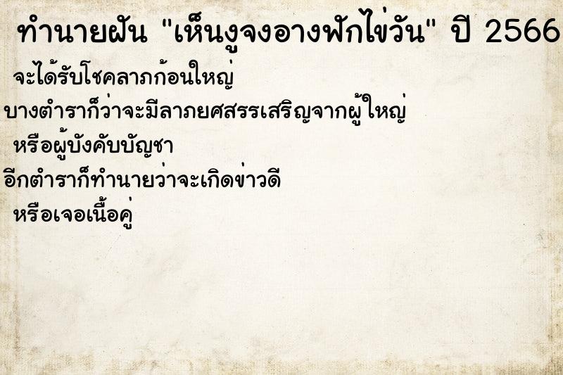 ทำนายฝันเห็นงูจงอางฟักไข่วัน ทำนายฝันทำนายฝันเห็นงูจงอางฟักไข่วัน