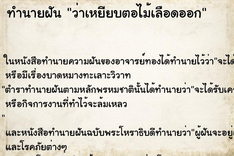ทำนายฝันว่าเหยียบตอไม้เลือดออก ทำนายฝันทำนายฝันว่าเหยียบตอไม้เลือดออก