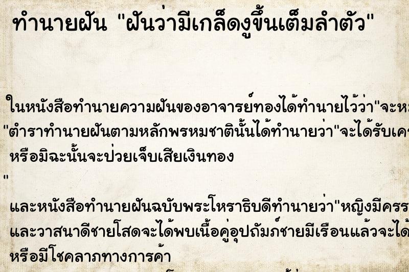 ทำนายฝัน ฝันว่ามีเกล็ดงูขึ้นเต็มลำตัว