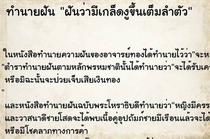 ทำนายฝัน ฝันว่ามีเกล็ดงูขึ้นเต็มลำตัว ตำราโบราณ แม่นที่สุดในโลก