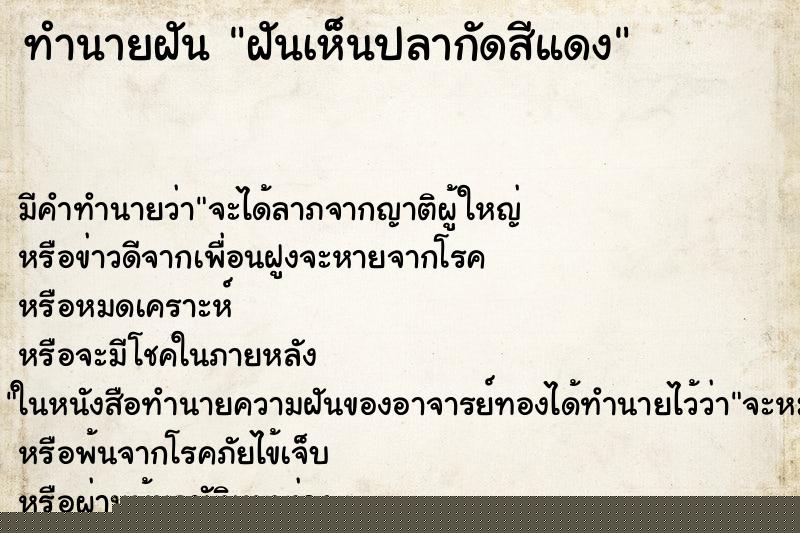 ทำนายฝัน ฝันเห็นปลากัดสีแดง ทำนายฝัน ฝันเห็นปลากัดสีแดง