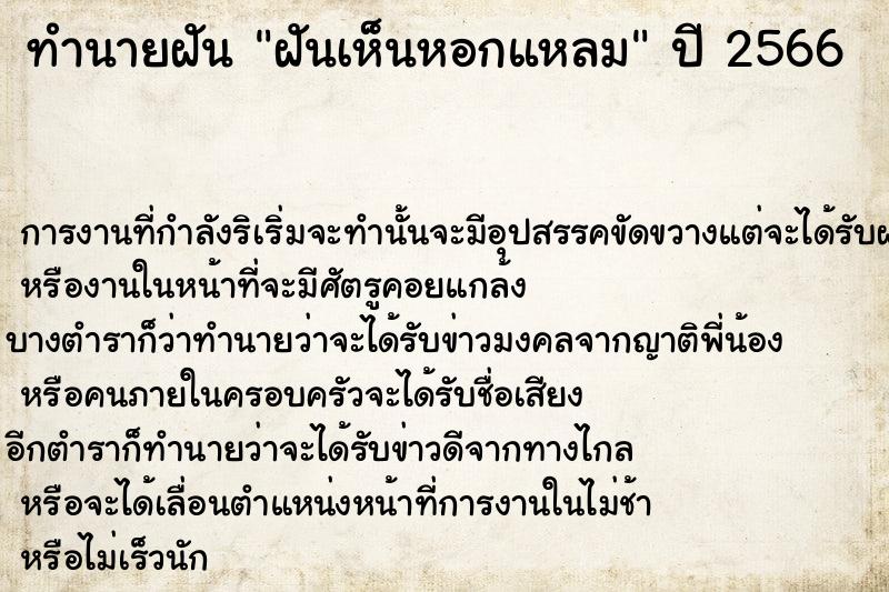 ทำนายฝันฝันเห็นหอกแหลม ทำนายฝันทำนายฝันฝันเห็นหอกแหลม