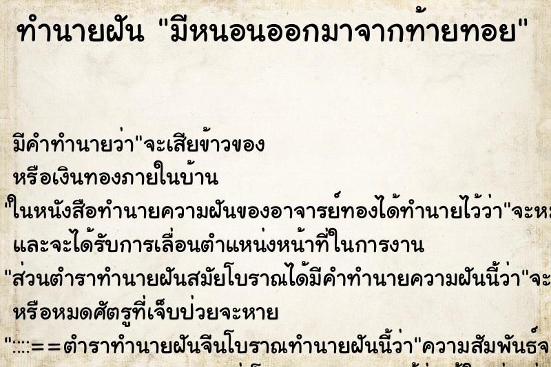 ทำนายฝัน มีหนอนออกมาจากท้ายทอย