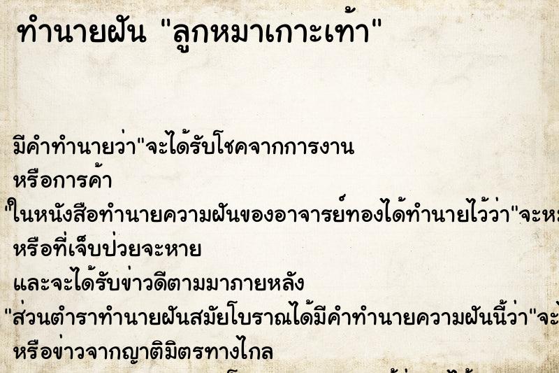 ทำนายฝันลูกหมาเกาะเท้า ทำนายฝันทำนายฝันลูกหมาเกาะเท้า