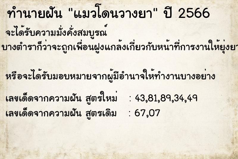 ทำนายฝัน แมวโดนวางยา ตำราโบราณ แม่นที่สุดในโลก