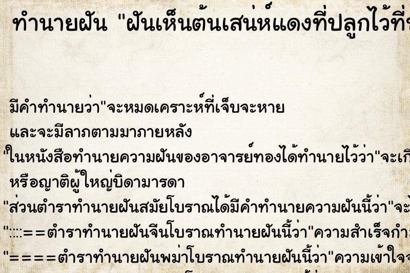 ทำนายฝันฝันเห็นต้นเสน่ห์แดงที่ปลูกไว้ที่บ้านออกดอก2ดอก ทำนายฝันทำนายฝันฝันเห็นต้นเสน่ห์แดงที่ปลูกไว้ที่บ้านออกดอก2ดอก
