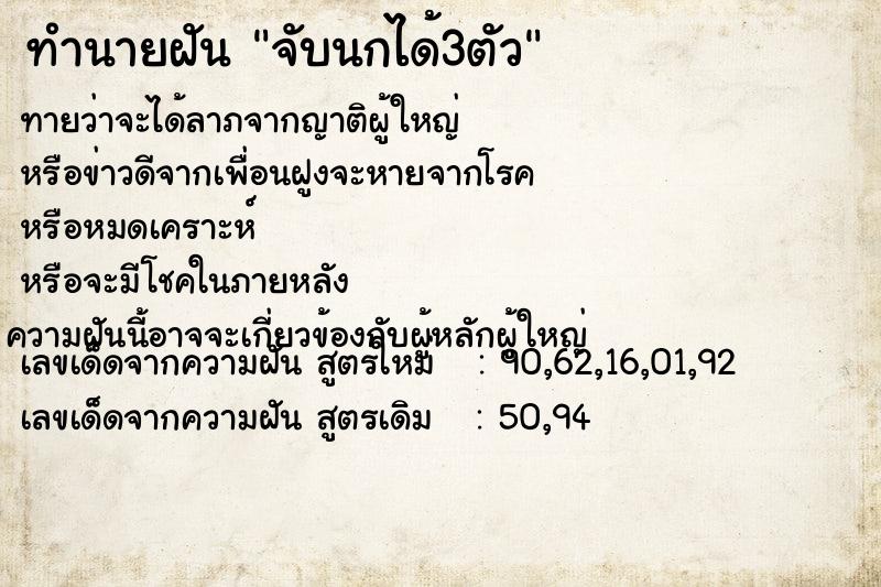 ทำนายฝันจับนกได้3ตัว ทำนายฝันทำนายฝันจับนกได้3ตัว