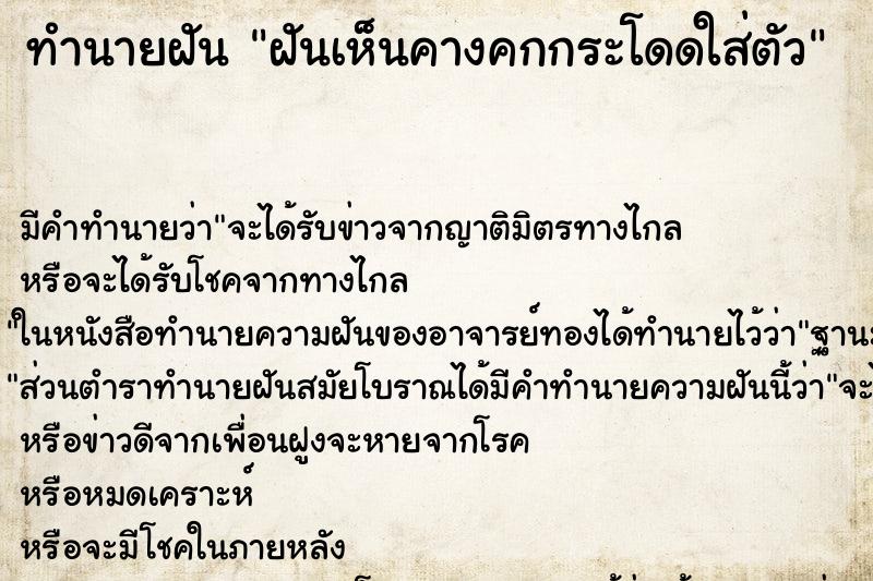 ทำนายฝัน ฝันเห็นคางคกกระโดดใส่ตัว ทำนายฝัน ฝันเห็นคางคกกระโดดใส่ตัว