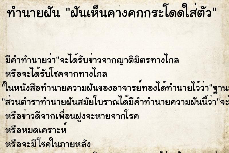 ทำนายฝัน ฝันเห็นคางคกกระโดดใส่ตัว ตำราโบราณ แม่นที่สุดในโลก