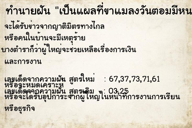 ทำนายฝันเป็นแผลที่ขาแมลงวันตอมมีหนอนไข่แมลงวัน ทำนายฝันทำนายฝันเป็นแผลที่ขาแมลงวันตอมมีหนอนไข่แมลงวัน