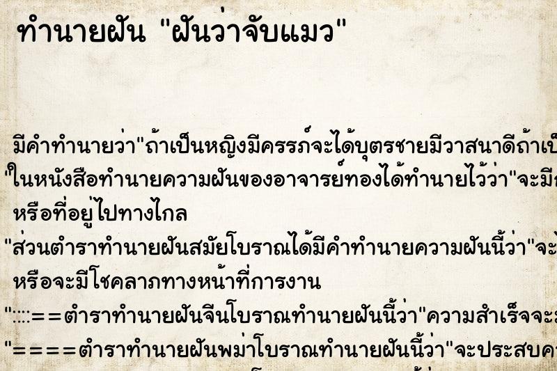 ทำนายฝัน ฝันว่าจับแมว ทำนายฝัน ฝันว่าจับแมว