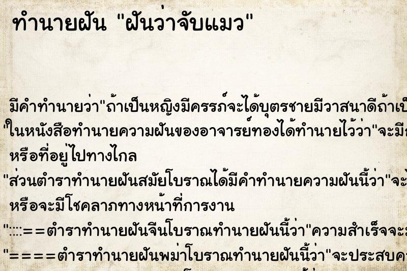 ทำนายฝัน ฝันว่าจับแมว ตำราโบราณ แม่นที่สุดในโลก