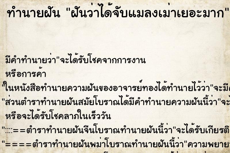 ทำนายฝัน ฝันว่าได้จับแมลงเม่าเยอะมาก