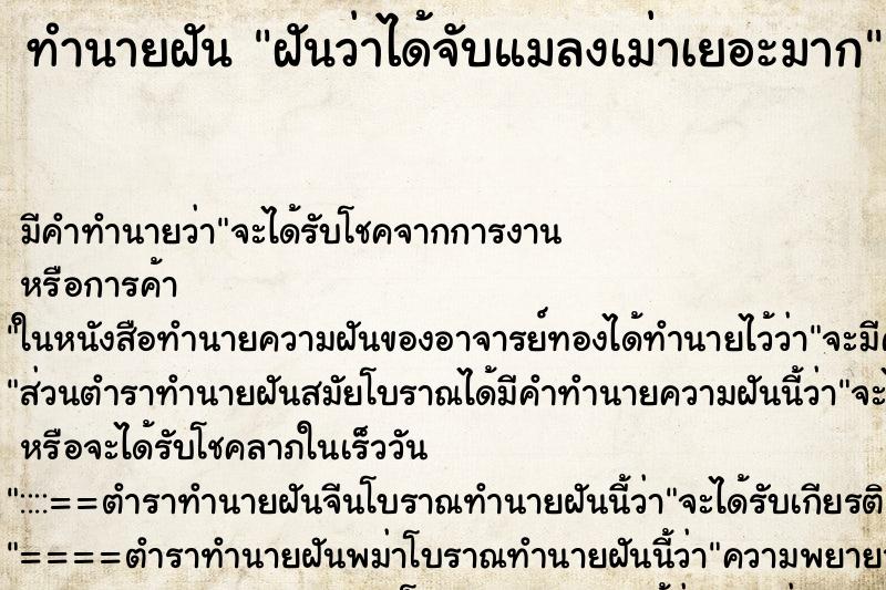 ทำนายฝัน ฝันว่าได้จับแมลงเม่าเยอะมาก ตำราโบราณ แม่นที่สุดในโลก