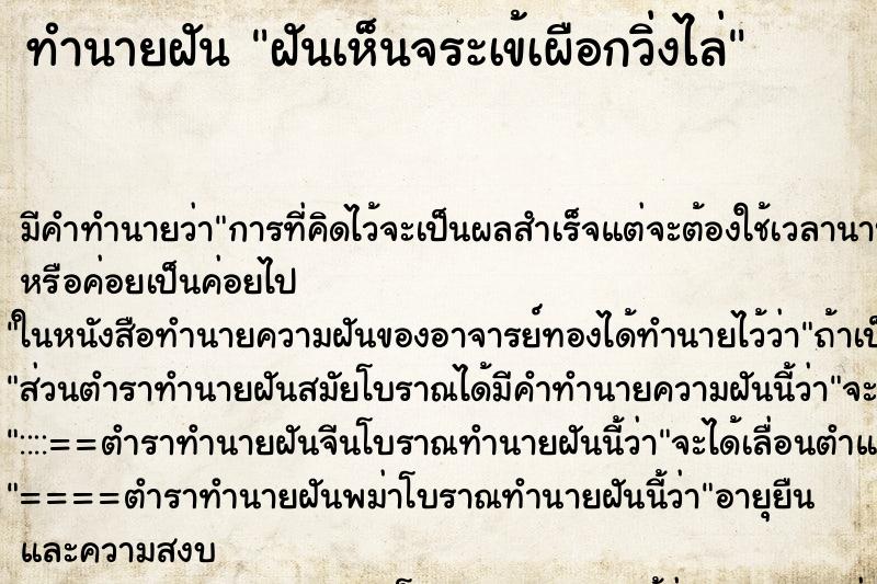 ทำนายฝัน ฝันเห็นจระเข้เผือกวิ่งไล่ ทำนายฝัน ฝันเห็นจระเข้เผือกวิ่งไล่