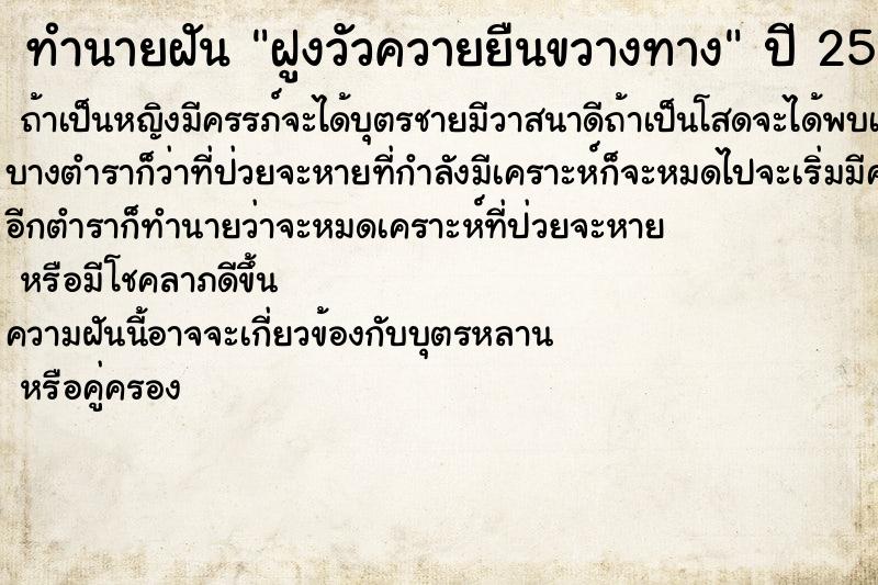 ทำนายฝันฝูงวัวควายยืนขวางทาง ทำนายฝันทำนายฝันฝูงวัวควายยืนขวางทาง