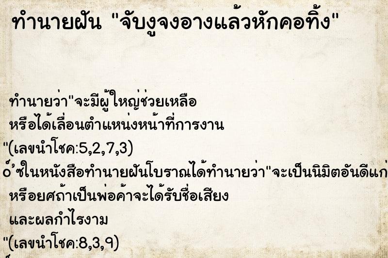 ทำนายฝัน จับงูจงอางแล้วหักคอทิ้ง ทำนายฝัน จับงูจงอางแล้วหักคอทิ้ง