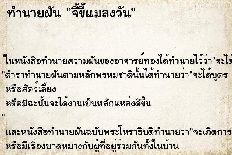 ทำนายฝันจี้ขี้แมลงวัน ทำนายฝันทำนายฝันจี้ขี้แมลงวัน