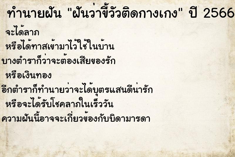 ทำนายฝันฝันว่าขี้วัวติดกางเกง ทำนายฝันทำนายฝันฝันว่าขี้วัวติดกางเกง