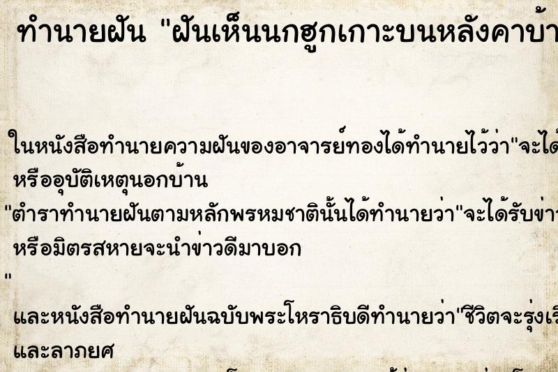 ทำนายฝันฝันเห็นนกฮูกเกาะบนหลังคาบ้าน ทำนายฝันทำนายฝันฝันเห็นนกฮูกเกาะบนหลังคาบ้าน