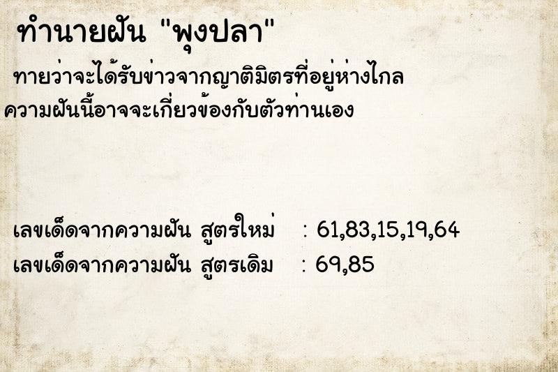 ทำนายฝัน พุงปลา ทำนายฝัน พุงปลา