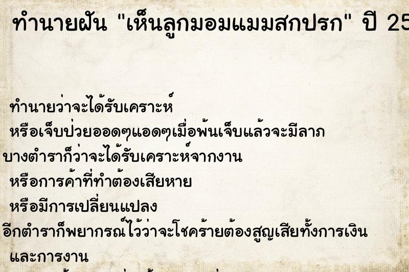 ทำนายฝันเห็นลูกมอมแมมสกปรก ทำนายฝันทำนายฝันเห็นลูกมอมแมมสกปรก