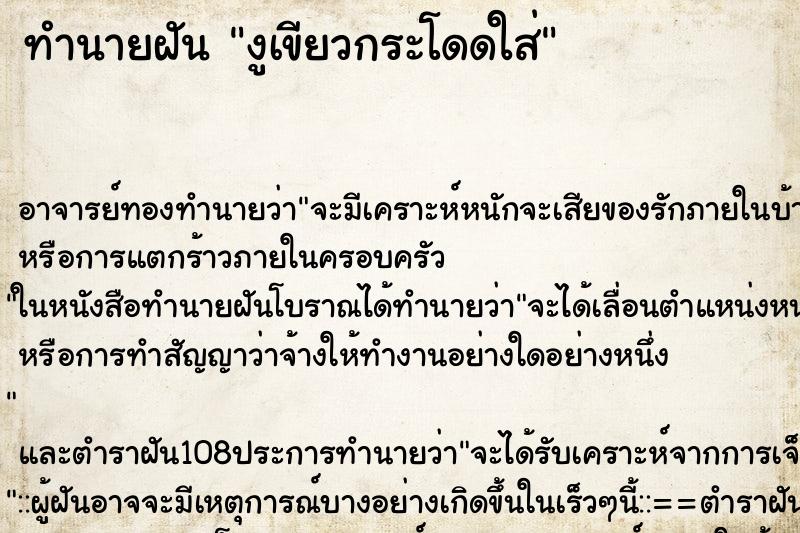 ทำนายฝัน งูเขียวกระโดดใส่ ทำนายฝัน งูเขียวกระโดดใส่