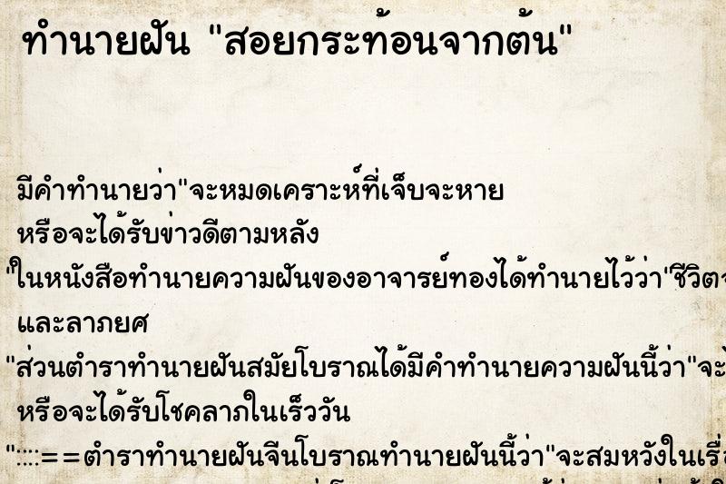 ทำนายฝัน สอยกระท้อนจากต้น ตำราโบราณ แม่นที่สุดในโลก