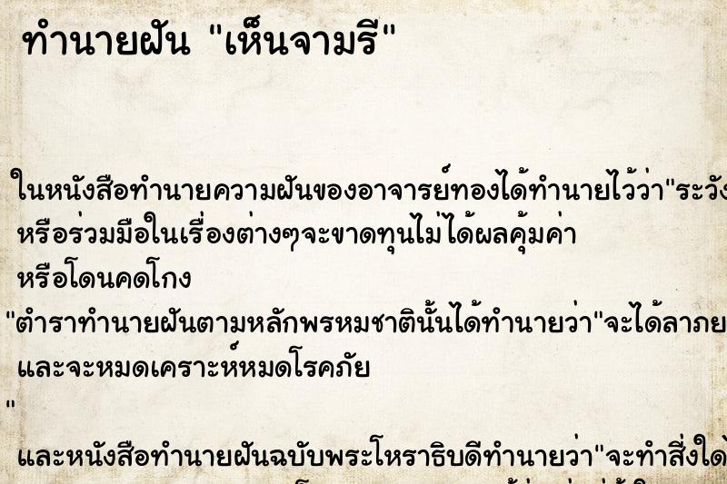 ทำนายฝันเห็นจามรี ทำนายฝันทำนายฝันเห็นจามรี
