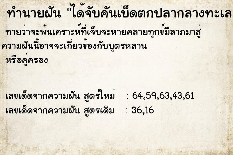 ทำนายฝันได้จับคันเบ็ดตกปลากลางทะเล ทำนายฝันทำนายฝันได้จับคันเบ็ดตกปลากลางทะเล