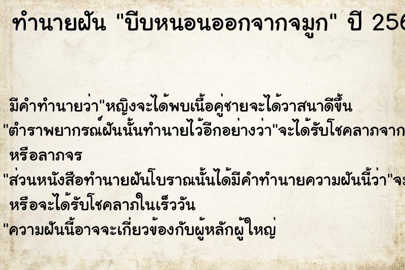 ทำนายฝันบีบหนอนออกจากจมูก ทำนายฝันทำนายฝันบีบหนอนออกจากจมูก