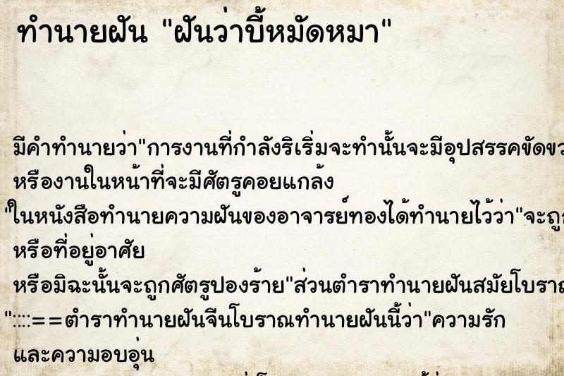 ทำนายฝัน ฝันว่าบี้หมัดหมา ตำราโบราณ แม่นที่สุดในโลก