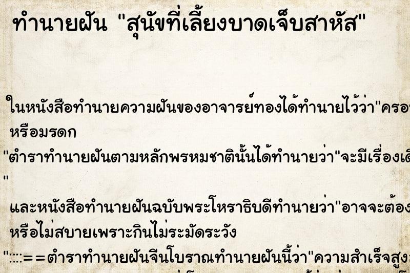 ทำนายฝัน สุนัขที่เลี้ยงบาดเจ็บสาหัส ตำราโบราณ แม่นที่สุดในโลก